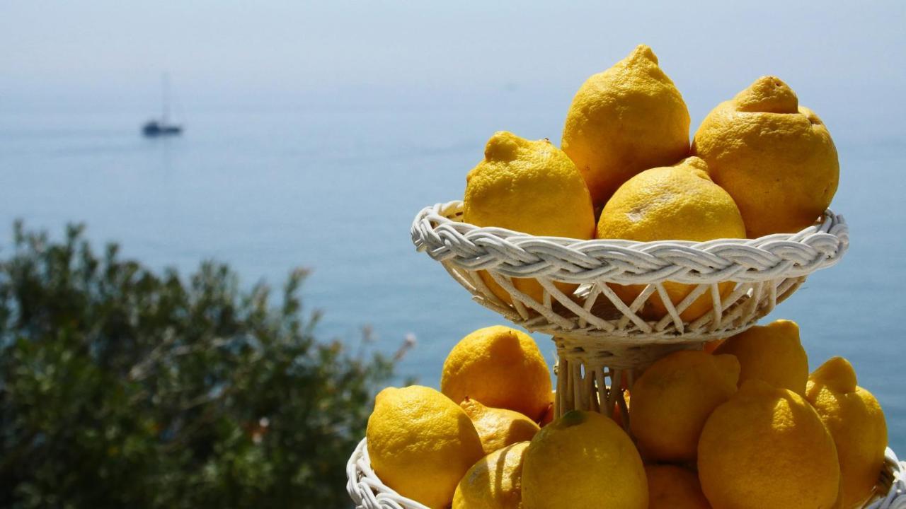 La Piazza Luxury Hotel & Spa Παναρέα Εξωτερικό φωτογραφία